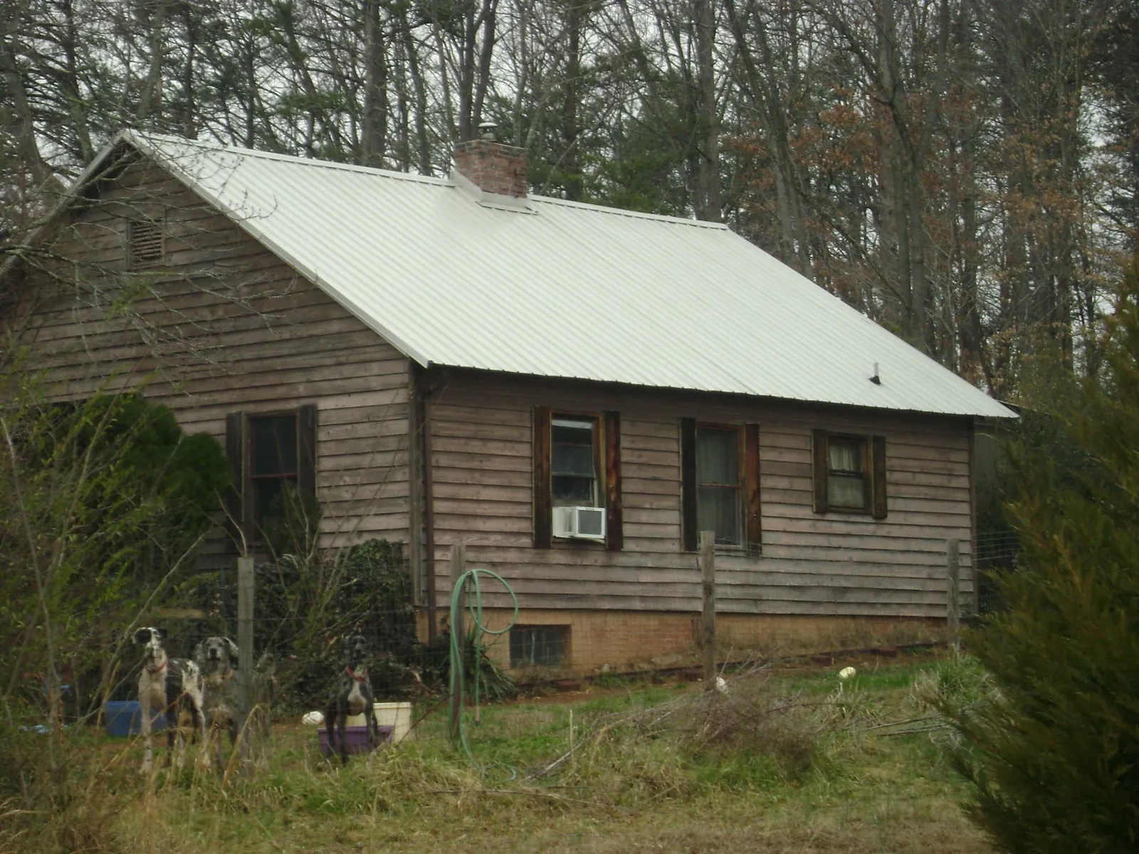 White metal roof on an old wood sided farmhouse, from a Asphalt Shingle Roof Repair job in Chincoteague Island